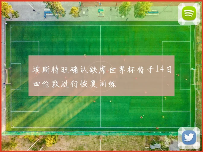 埃斯特旺确认缺席世界杯将于14日回伦敦进行恢复训练