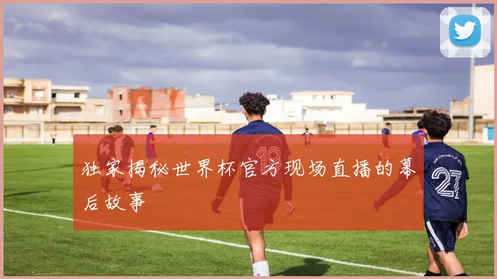 独家揭秘世界杯官方现场直播的幕后故事